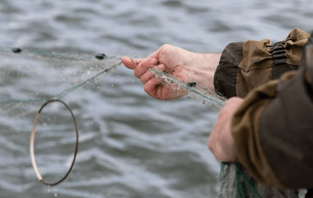 Разрешенный лов рыбы