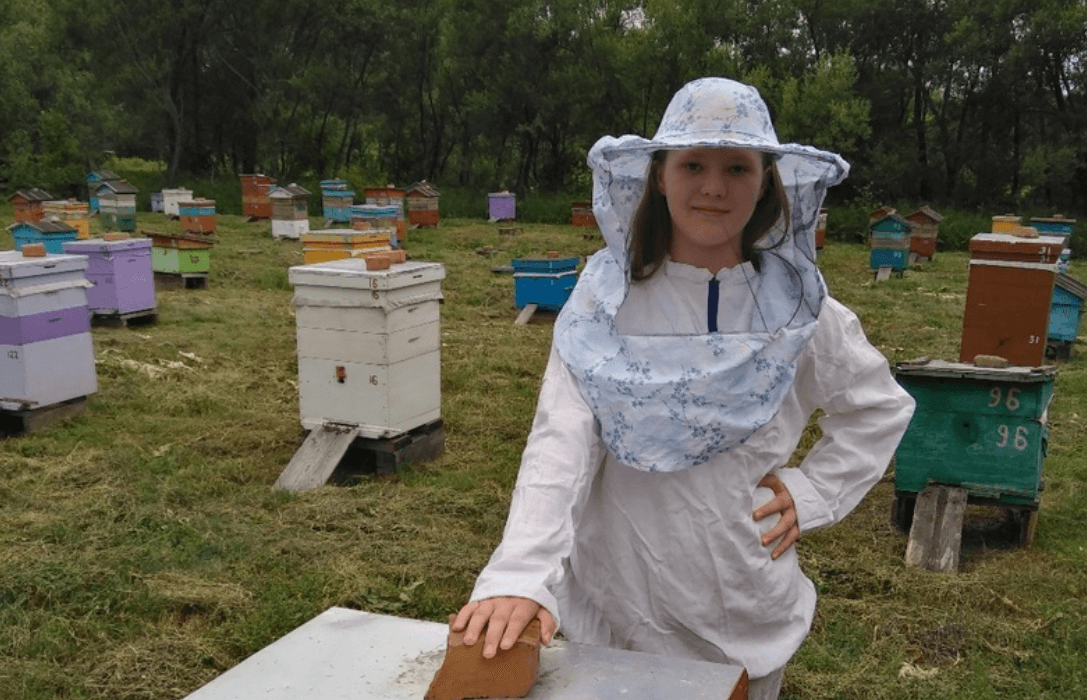 Томские самозанятые пчеловоды могут попасть в реестр производителей органической продукции