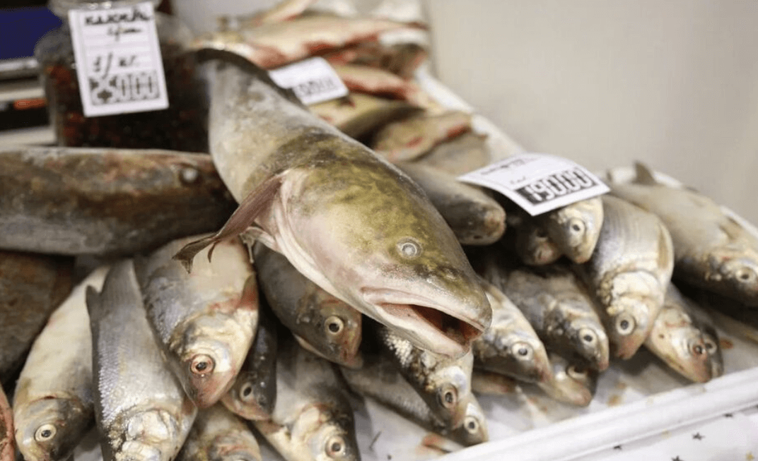 12 тонн мороженой рыбы с Дальнего Востока было ввезено в Томскую область за минувший год