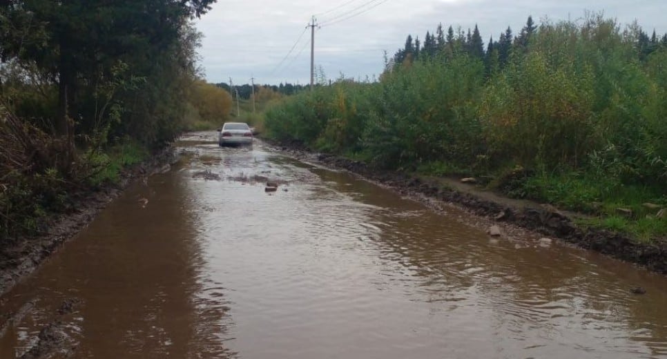 Жители томской деревни пожаловались на бездорожье